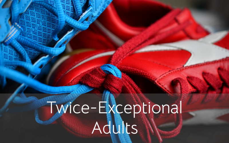 Twice-exceptional adults